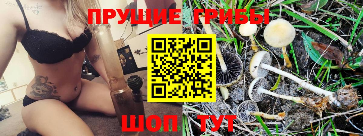 Галлюциногенные грибы прущие грибы Ялуторовск