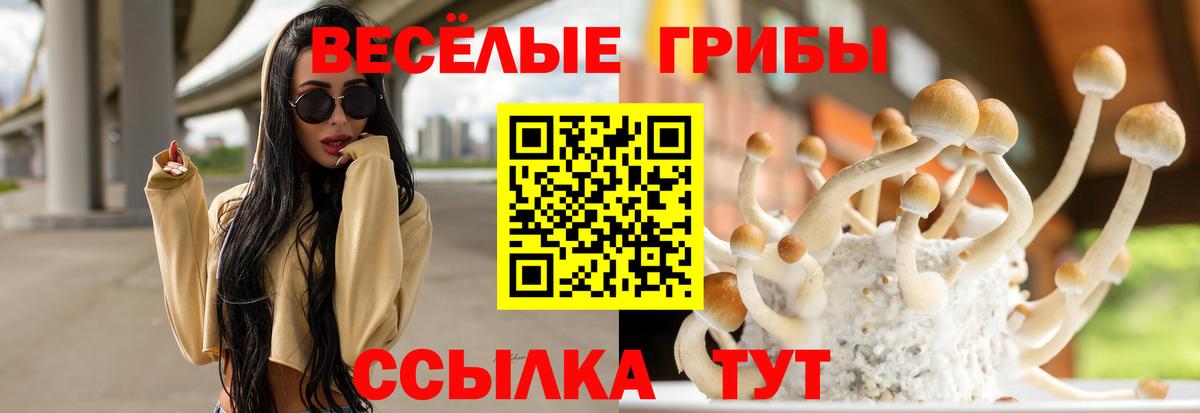Псилоцибиновые грибы Psilocybe  Псилоцибиновые грибы Magic Shrooms  Вход с VPN  Ялуторовск 